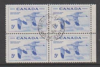 Canada - 1955,  5c National Wildlife Week (cranes) Block Of 4 - F/u - Sg 479