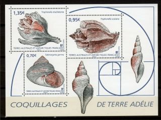 Taaf / Fsat 2019 Ss (coquillages De Terre AdÉlie) Nh (1902003)
