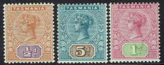 Tasmania 1892 Qv Tablet 1/2d 5d And 1/ - Wmk Tas