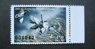 2001 Kentucky State Duck Migratory Waterfowl Stamp Mnhog
