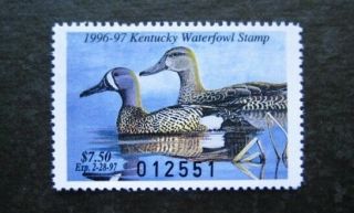 1996 Kentucky State Duck Migratory Waterfowl Stamp Mnhog