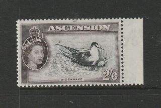 Ascension 1956 Defs,  2/6 Sooty Tern Bird,  Um/mnh Sg 67
