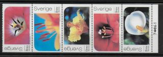 Sweden 2004 Paintings - Mnh - Vf Y.  T.  2369 - 73 2