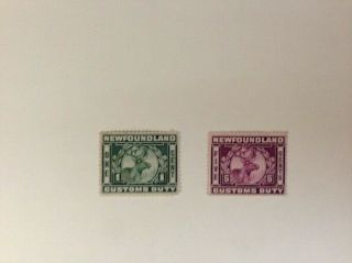 Newfoundland Stamps 1 Nfc2 And 5 Cent Nfc5 Customs Duty