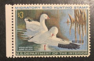Tdstamps: Us Federal Duck Stamps Scott Rw37 $3 Lh Og Cv$65.  00