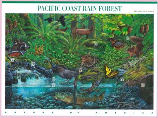 2000,  $.  33,  Nature Of America Pacific Coast Rain Forest,  Scott 3378 A - J,  Mnh