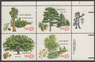 Scott 1764 - 1767 - Us Zip Block Of 4 - American Trees - Mnh - 1978