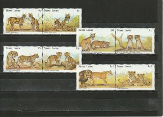 A92 - Sierra Leone - Sg656 - 663 Mnh 1981 Wild Cats - Serval/african Golden/lion