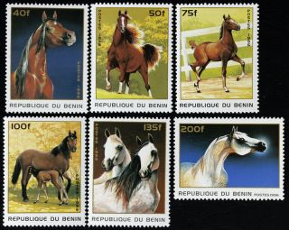 R.  Benin - Horses - 6 St.  - 1996.  Mnh,  Ben 76/l