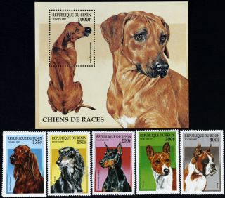 R.  Benin - Dogs - 6st. ,  1s/sh - Mnh,  Ben 74