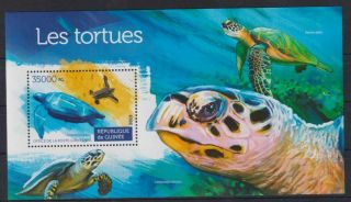 U284.  Guinea - Mnh - 2015 - Nature - Animals - Reptiles - Turtles - Bl.