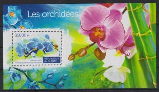 U284.  Guinea - Mnh - 2015 - Nature - Plants - Flowers - Orchids - Bl.