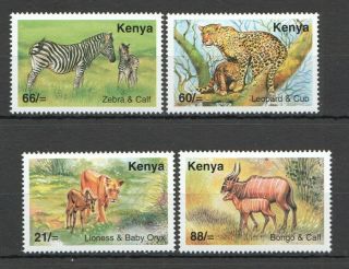 O1479 2004 Kenya Fauna Wild Animals & Pups 769 - 72 Set Mnh