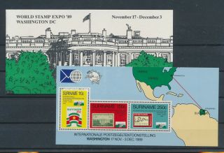 Lk81252 Suriname 1989 Washington Stamp Expo Souvenir Sheet Mnh