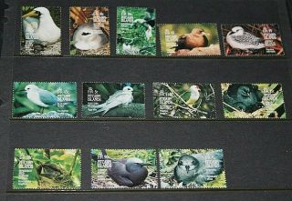 Pitcairn Islands 1995 Birds Set Of 12 Fine M/n/g