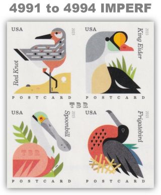 4991 - 94 4994b Coastal Birds Postcard No Die Cut Ndc Imperf Block 4 Mnh - Buy Now