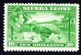 Sierra Leone 10/ - Stamp C1938 - 44 Unmounted