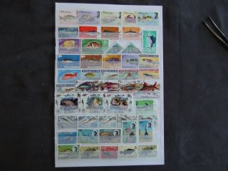 Thematics - Fish - Various And Stamps (7)