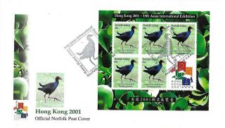 2001 Norfolk Island Birds Miniature Sheet On Fdc