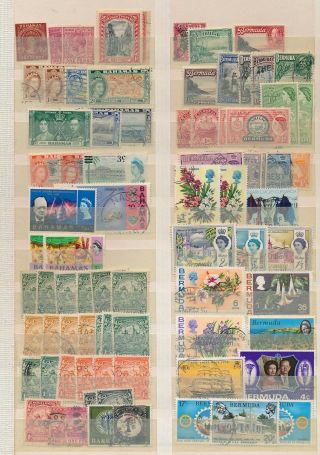 British Commonwealth.  Various Colonies On Stockpages.  - 8 Scans