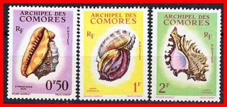 Comores 1962 Shells Mnh Marine Life