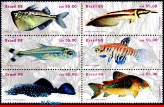 2157 Brazil 1988 Fresh - Water Fish,  Aquarium Hobby,  Psicultura,  Mi 2276 - 81,  Mnh