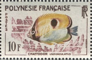 French Polynesia 1962,  Fish 10 Fr Chaetodon Unimaculatus Mnh Vf/xf