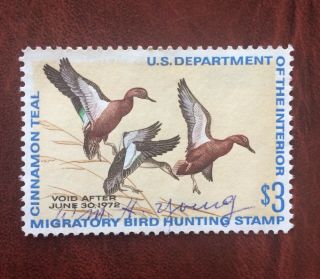 Vintage Us Duck Hunting Stamp,  Rw38