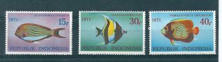 Indonesia 1971 Mnh Fish Set See