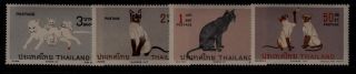 Thailand Sc 572 - 5 Nh Issue Of 1971 - Cats