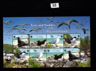 / Pitcairn Islands - Mnh - Wwf - Animals - Birds