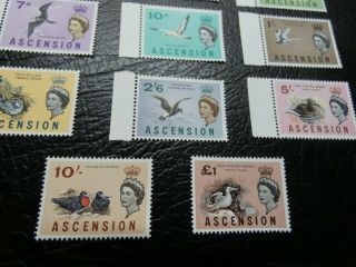 British ASCENSION 1963 SG70 - SG83 BIRDS SET MNH €160,  GEM 2