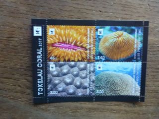 Tokalau 2017 Corals 4 Stamp Mini Sheet Stamps