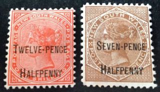 South Wales 1891 2 X Stamps With Overprints Hinged