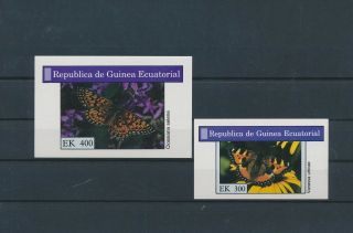Lk72392 Equatorial Guinea Imperf Flora Insects Butterflies Sheets Mnh