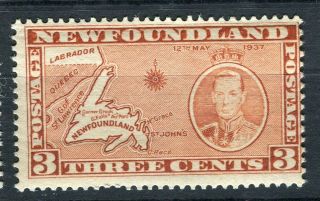 Newfoundland; 1937 Early Gvi Coronation Issue Mnh 3c.  Value