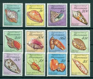 Micronesia 1989 Compl.  Set 12 Stamps Mnh Shells - Mi.  No 142 - 153