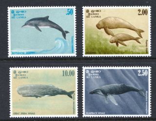 Sri Lanka 1983 Marine Mammals Whales Dolphins - Mnh Set - Cat £10 - (179)