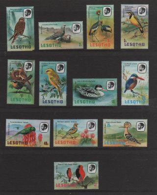 Lesotho.  Set Of 12 Different Never Hinged Bird Stamps (086)