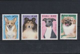 I695.  Zambia - Mnh - Animals - Dogs