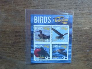 Tokalau 2017 Birds 4 Stamp Mini Sheet Stamps