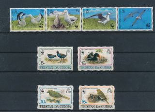 Lk73917 Tristan Da Cunha Animals Fauna Flora Birds Fine Lot Mnh