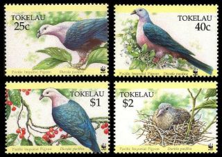Tokelau Birds Wwf Pacific Imperial Pigeon 4v Mnh Sg 220 - 223 Mi 210 - 213
