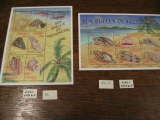 A18 Micronesia Shells Scv $12 Ss Mnh