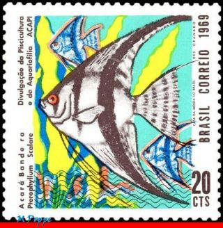 1129 Brazil 1969 Aquarium Fish,  Angelfish,  Acapi,  Fishkeeping,  Mi 1216,  Mnh