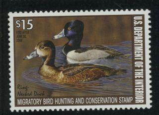 Us - Rw74 2007 - Us Federal Duck Stamp - Og Never Hinged