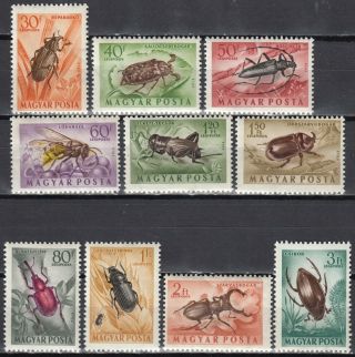 Hungaria Magyar Insects Stamps Mnh
