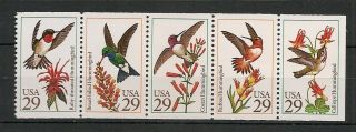 Usa 1992 Wildlife Fauna Birds Vögel Oiseaux Hummingbirds Booklet Pane Mnh
