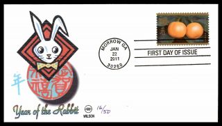 Mayfairstamps Us Fdc 2011 Wilson Year Of The Rabbit Hand Colored First Day Cover