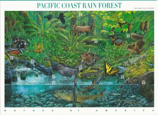 Scott 3378 Us Souvenir Sheet Pacific Coast Rain Forest 33 Cent Mnh